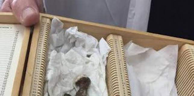 19:38: El ADN de Jesucristo | Discovery Max | 12/19 2025