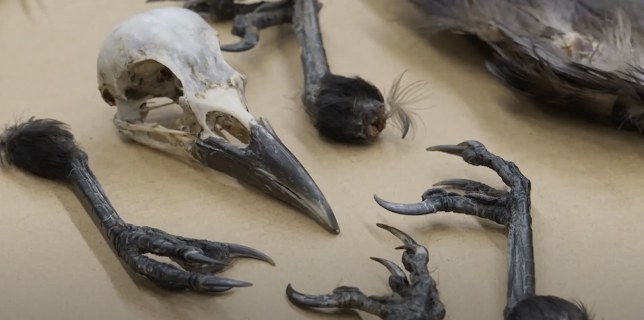 09:30: Grensevakten (S17 E2) (S17) | MAX | 1/28 2026