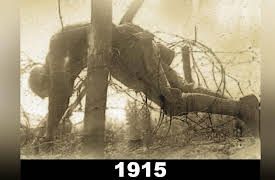 The Great War: 1914-1918: The Great War: 1915- Death in Foreign Fields