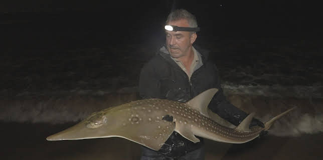 06:05: Giganten unter Wasser - Riesenfischen auf der Spur | ProSieben Maxx | 12/24 2025