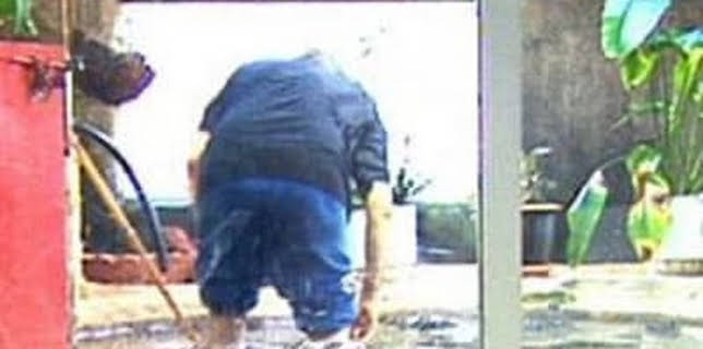 Extraordinary Pets USA (2005)