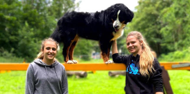 06:00: Kinderfilme und Kinderdokus im Ersten | Das Erste | 11/23 2025