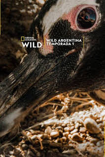 21:55: Wild Argentina: Tierra de agua | National Geographic | 12/19 2025