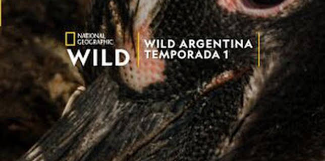04:10: Wild Argentina: Tierra de agua | Nat Geo Wild | 2/14 2026