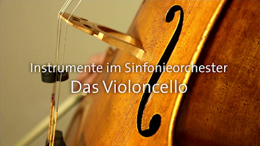 05:45: Instrumente im Sinfonieorchester | SR Fernsehen | 6/29 2026