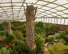 Das Gondwanaland in Leipzig: Urwald in der Großstadt