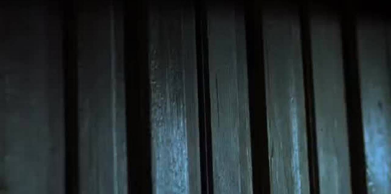 Pet Sematary Two (1992)