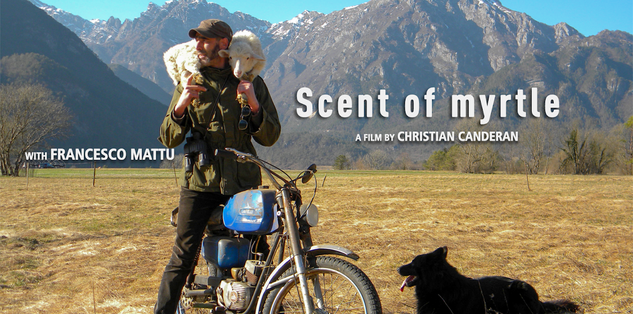 Scent of Myrtle (Il profumo del mirto) (2021)