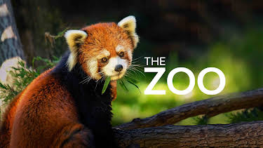 20:00: The Zoo (S4 E4) (S4) | Animal Planet | 3/28 2026