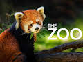 The Zoo