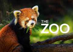 The Zoo
