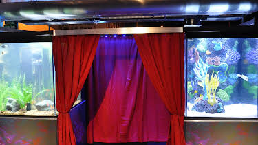 10:25: Tanked (S3 E9) (S3) | Animal Planet | 1/8 2026