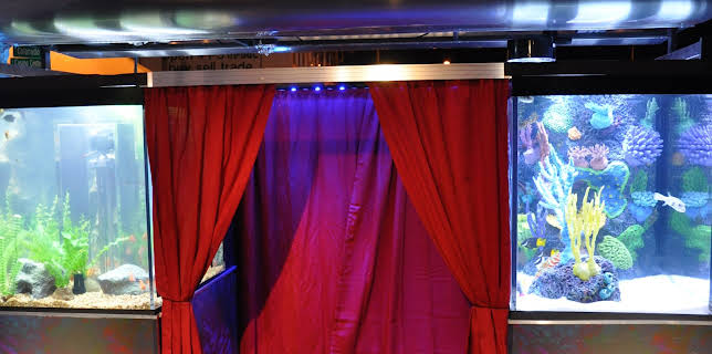 01:30: Tanked (S3 E9) (S3) | Animal Planet | 1/10 2026