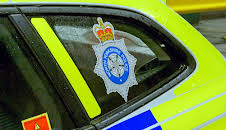 Traffic Cops (S10 E8)