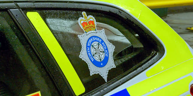 1:00 PM: Traffic Cops (S10 E8) (S10) | 5 Star | 11/20 2025