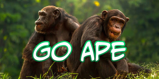 Go Ape (2017)