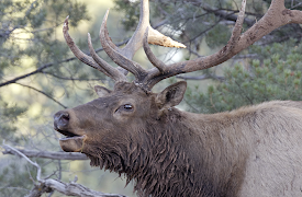 America's National Parks: Episode 1