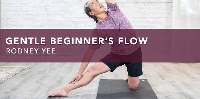 Gentle Beginner's Flow