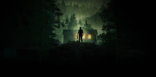 Stranger in the Woods (2024)