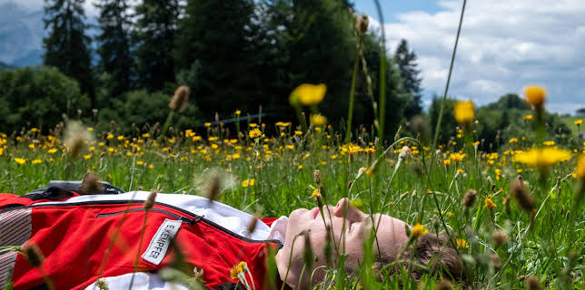 20:15: Einfach Elli | ZDF | 3/12 2026