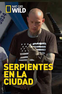 07:00: Serpientes en la ciudad: Terror en el camping | Nat Geo Wild | 2/12 2026