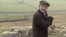 All Creatures Great and Small