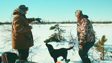 11:00 PM: Northwoods Survival | Nat Geo Wild | 12/31 2025
