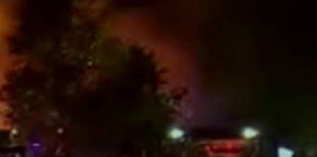 07:30: Seprona en acción: Episodio 13 | Discovery Max | 2/19 2026