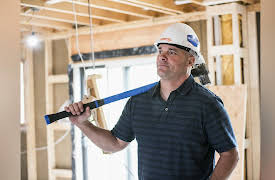 Renovation Inc., Season 1: Facing the Lions