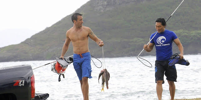 09:15: Hawaii Five-0 | Kabel Eins | 1/16 2026