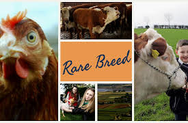 A Rare Breed: January
