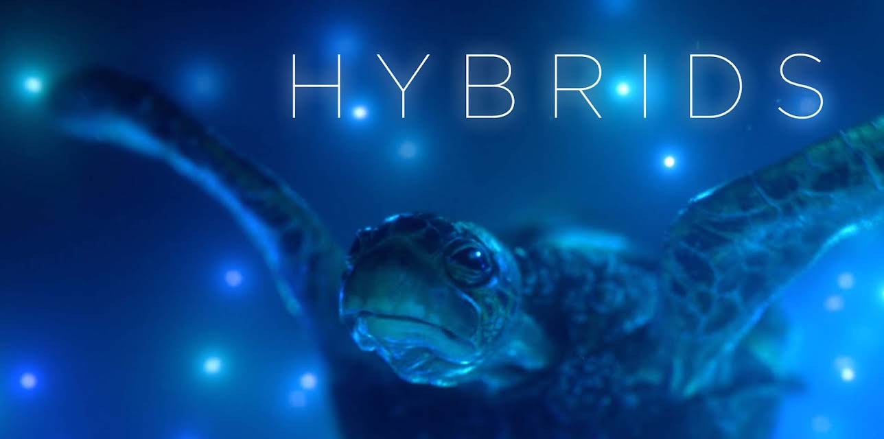 Hybrids (2019)