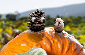 Pops and Peanut: Season 1: Garden