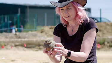 8:00 PM: Digging for Britain (S11) | BBC Two | 7/30 2026