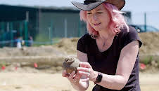 Digging for Britain