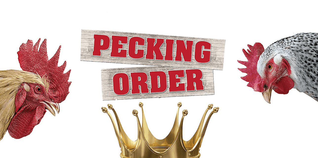 Pecking Order (English Subtitled) (2017)