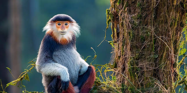 10:21: 360° Reportage | Arte | 11/21 2025