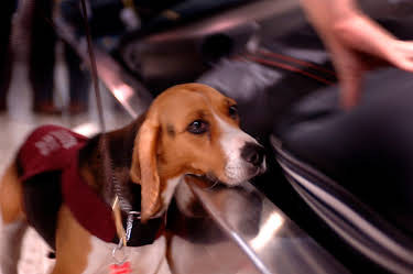 12:30: Grensevakten (S11 E18) (S11) | MAX | 3/28 2026