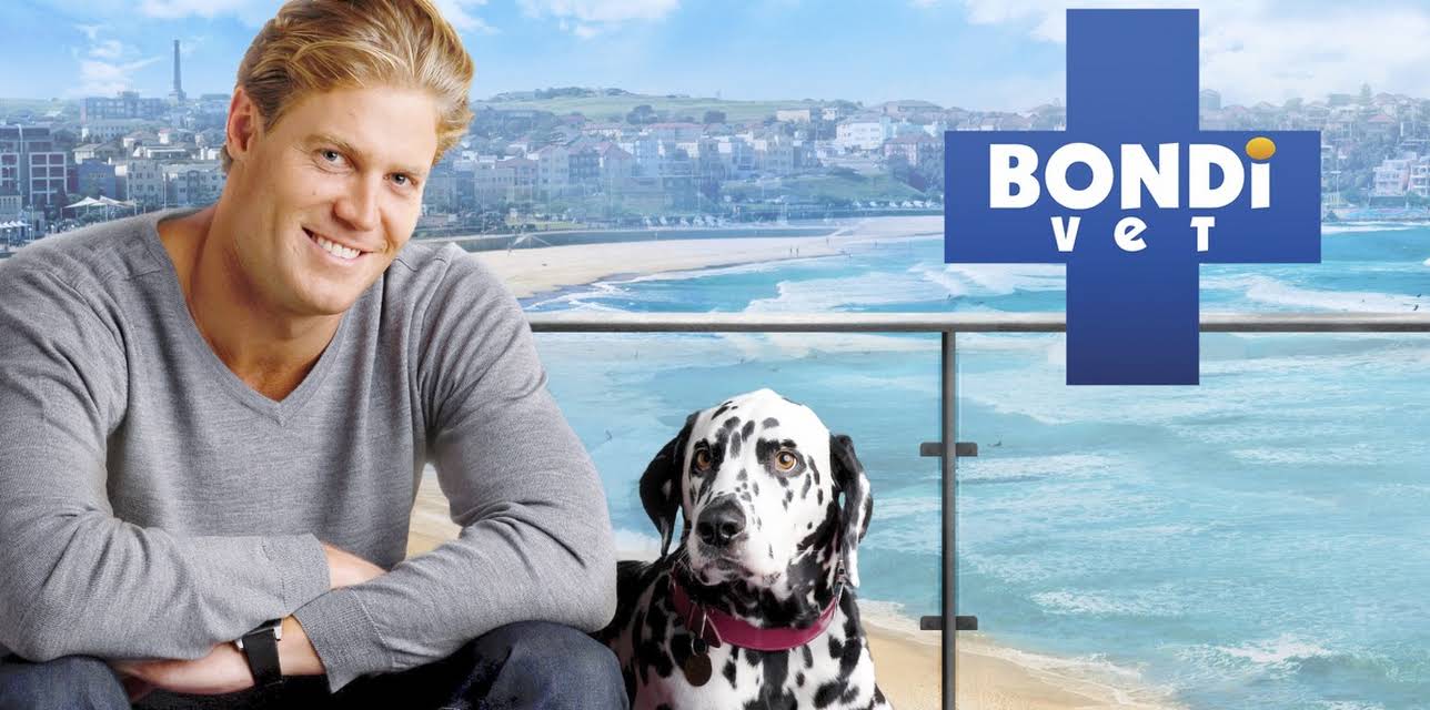 Bondi Vet