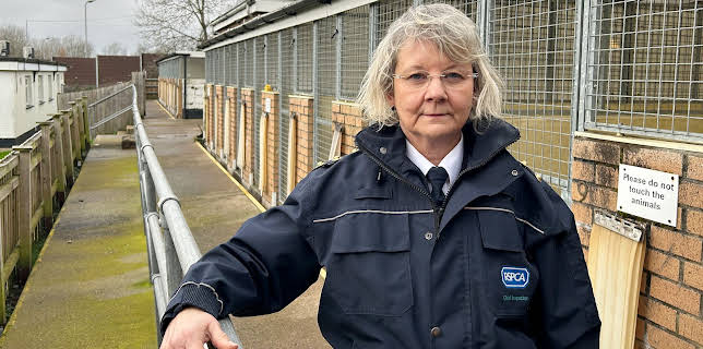 12:00 PM: Special Ops: To Catch A Criminal (S1 E3) (S1) | Dave | 11/17 2025