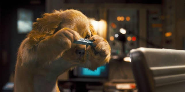 11:20 PM: Cats & Dogs: The Revenge Of Kitty Galore | Sky Family | 2/13 2026