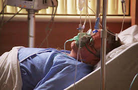 Monsters Inside Me: There's a Fungus in My What!?!