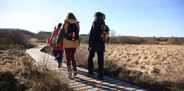 09:55: Fahr mal hin | SWR Fernsehen RP | 1/5 2026