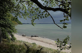 Wild Baltic Sea: Between Denmark and Latvia