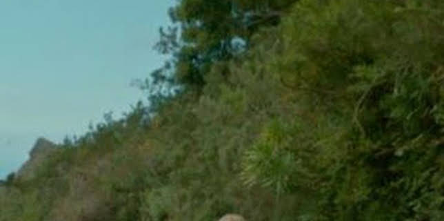 10:10: Tocando el cielo | TV Canaria | 12/13 2025