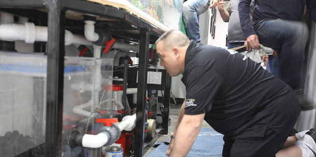 11:25: Acuarios XXL: El chimpancé mágico de Penn y Teller | Discovery | 12/10 2024