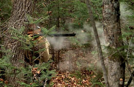 Sasquatch Mountain Man: Best of 2012