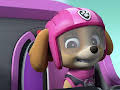 PAW Patrol