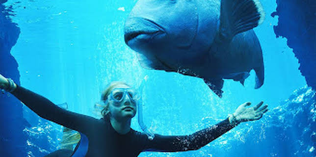 12:10 PM: Blueback | Sky Family | 11/19 2025