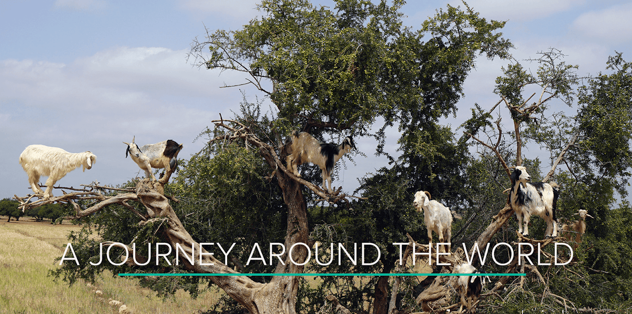 A 30-Minute Journey Around the World